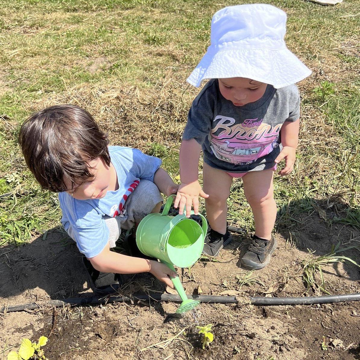 Let kids create their own garden, and other tips for instilling a love for growing things